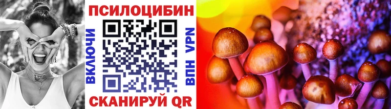 Псилоцибиновые грибы Magic Shrooms  Буйнакск 